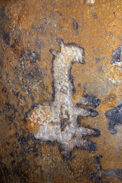 Dhayamole. Close-up of white animal outlined in black. Note orange shape containing web on animal hump. Image ID: somdha0020036