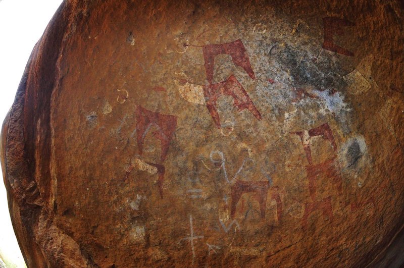 Dhaga Koure. Panel of bichrome cows with udders, thick bichrome necks (one colour often faded) and white, curved and twisted horns. Image ID: somgab0010009