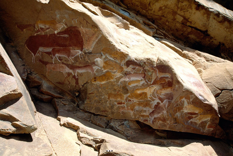 Close up of polychrome paintings of eland antelope made by ancestral San hunter-gatherers, perhaps 1500 to 200 years ago at an important site in the Ukhahlamba-Drakensberg National Park, SOADRB0040012