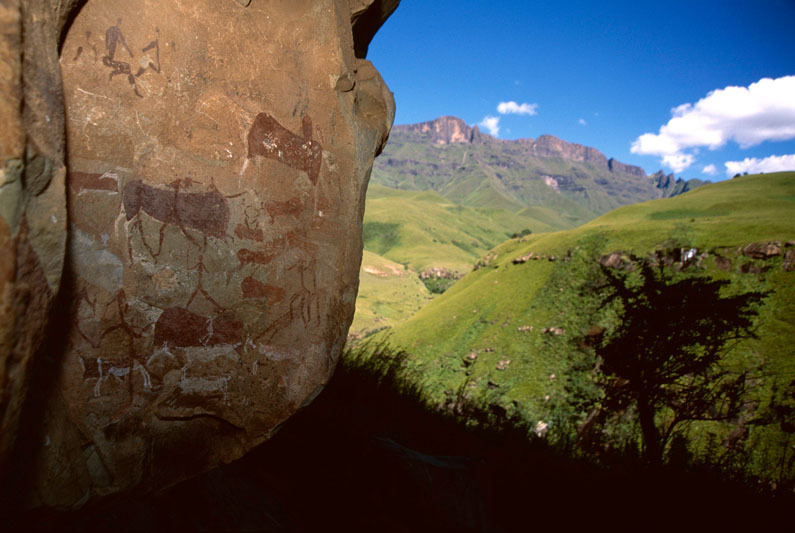 Ancestral San paintings of eland and humans at a rock shelter in Ndedema Gorge, Drakensberg, SOADRB0050007