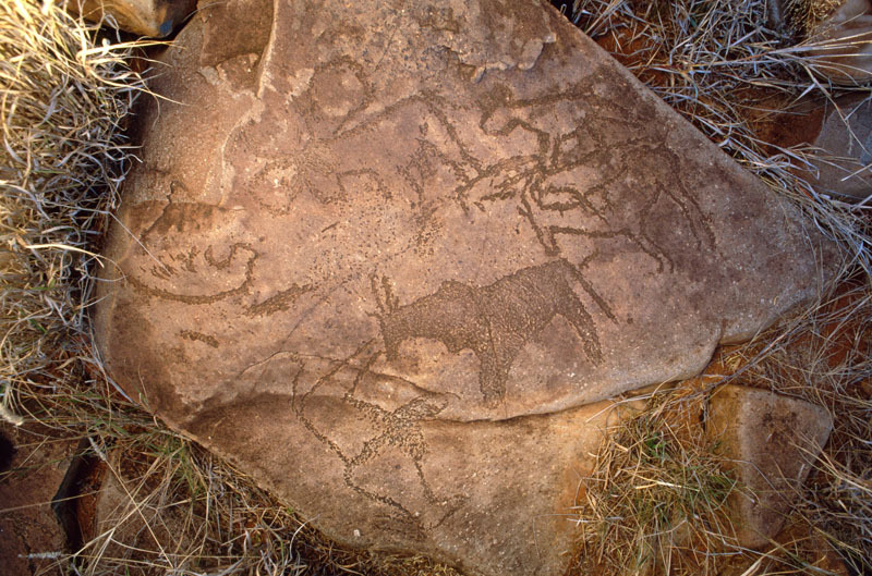 Rock engravings on a small boulder depicting eland and hartebeest in the Northern Cape, SOANTC0040028