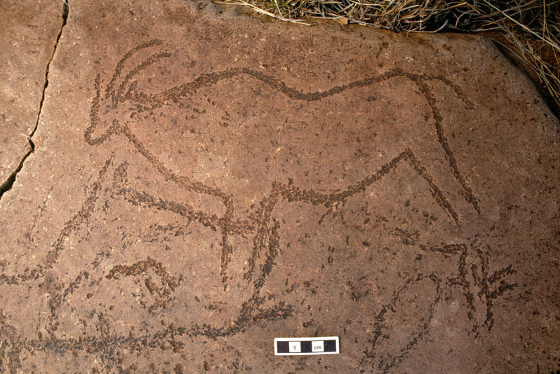 Rock engravings of an antelope with 5cm scale on a small boulder in Bosworth National Monument in the Northern Cape, SOANTC0040030