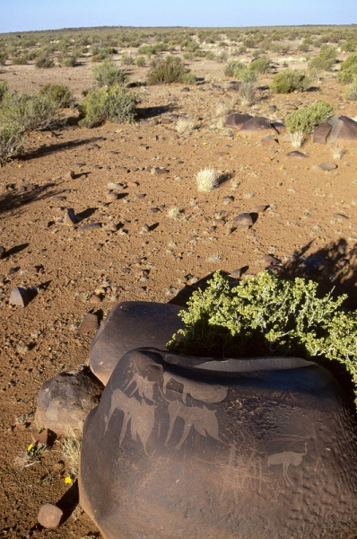 Engravings on a boulder at an important site in the Northern Cape apparently depicting mythical animals, SOANTC0050004