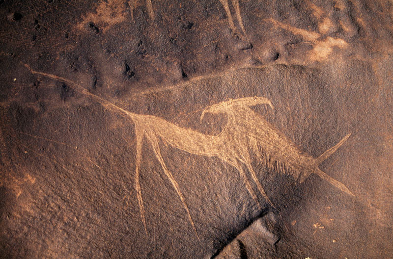 Detail featuring engraving of possible mythical animal, SOANTC0050014