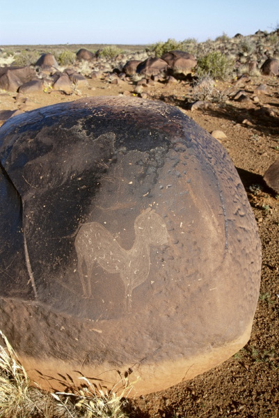 Engravings on a free-standing boulder apparently depicting mythical animal created by ancestral San perhaps 2000 years ago, SOANTC0050018
