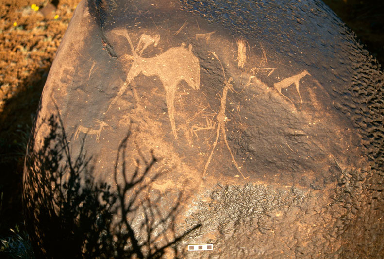 Engravings featuring a mythical animal facing right, possibly a predator as well as human figures and other smaller animals. 5 cm scale, SOANTC0050051