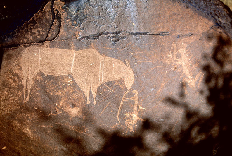 Engraving apparently showing 2 hunters confronting an eland with bows and arrows. The eland has been decorated in an unusual way as though compartmentalised, SOANTC0050053