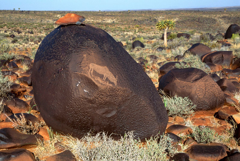 Close-up of an eland engraving apparently showing a hunter on his back firing an arrow up at the eland, SOANTC0050054