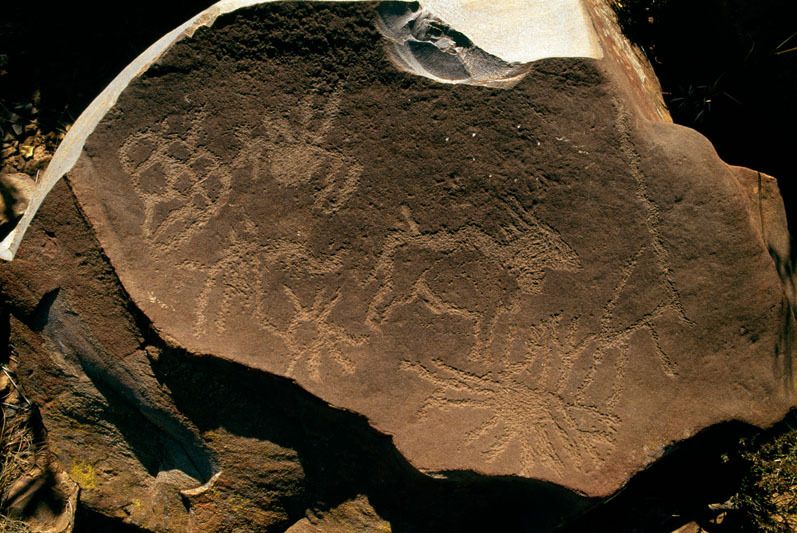 More geometric symbols engraved on a loose rock surrounding an engraved eland, SOASTR0010073