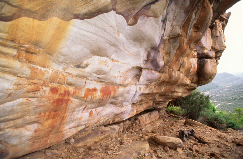 Side view of shelter wall in the South Western Cape showing a frieze of animal paintings including elephant, SOASWC0070011