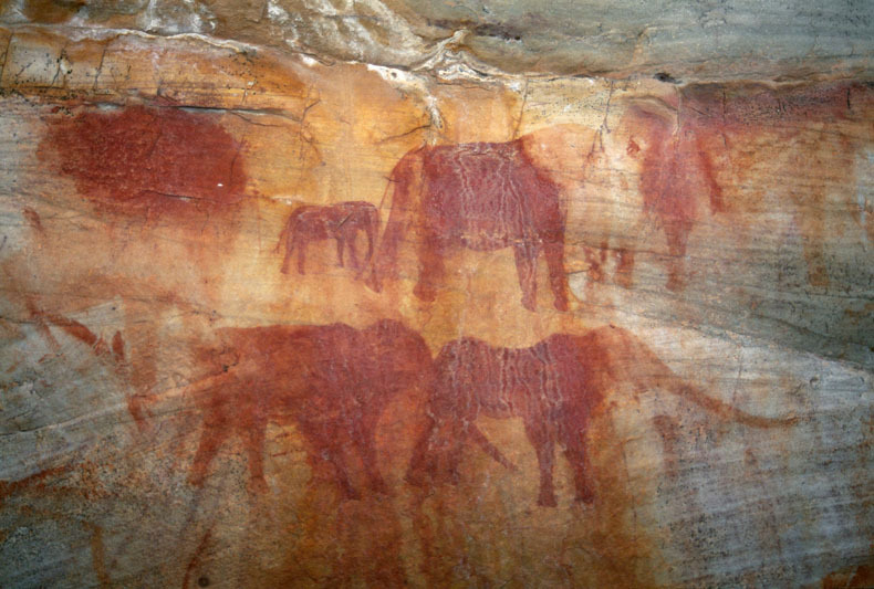 Close-up of elephant paintings from previous image, SOASWC0070017