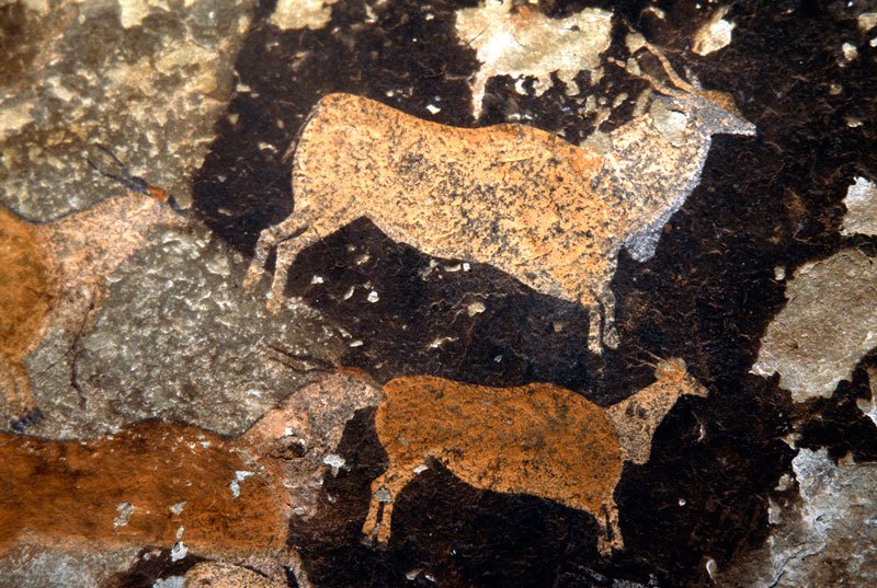 Drakensberg, South Africa.Polychrome shaded eland walking right. Image ID: soadrb0010007