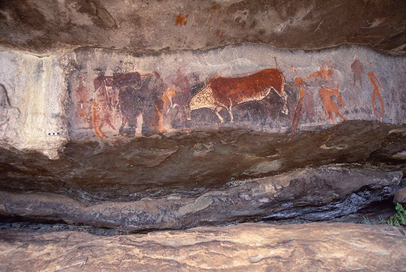 Drakensberg, South Africa. Major painted panel in shelter’s left area. Known sometimes as Bushman Rock Art’s ‘Rosetta Stone’, this panel helped David Lewis-Williams in 1970s to formulate early ‘understanding’ of the art’s imagery. Image ID: soadrb0080014