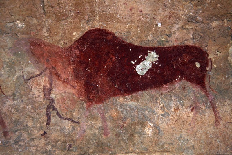 Drakensberg, South Africa. Large, finely-painted, red eland walks left with man holding bow, also walking left, superimposing eland’s neck. Note vandalism. Red painted has been chipped out, (usually to include in medicine to make rain or bring health). Image ID: soadrb0080041