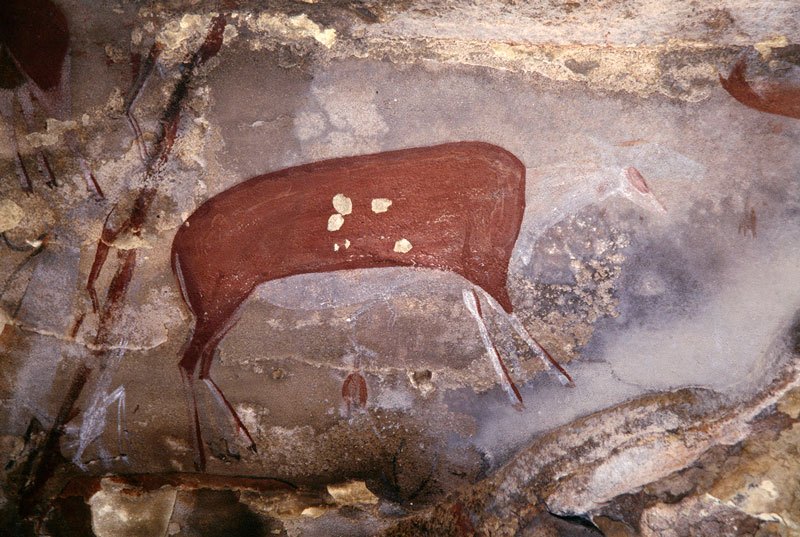 Drakensberg, South Africa. Bichrome painting of eland facing right; elongated person behind eland facing right; top left, thin elongated figure facing right; bottom left, figure painted in transparent white, facing right with antelope’s legs for arms and plumed headdress. Image ID: soadrb0090009
