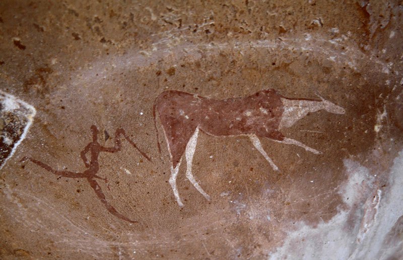 Drakensberg, South Africa. Polychrome maroon, black and white eland running right pursued by maroon man with infibulated penis brandishing stick. Triangular object between man’s face and hand. Image ID: soadrb0110024