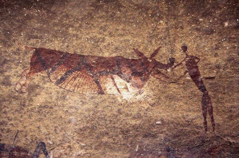 Polychrome mythical animal (rain bull) faces right with maroon man holding open its mouth. Animal has head like aardvark/antbear, long ears and eland’s legs and hoofs, striped stomach and black bands on all legs. Man appears to wear mask. Image ID: soanec0020021