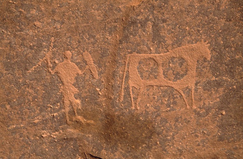 Karkul Tahl, Sudan. Decorated cow with semi-polled horns followed by clothed man holding shield and curved stick. Image ID: sudkta0020018