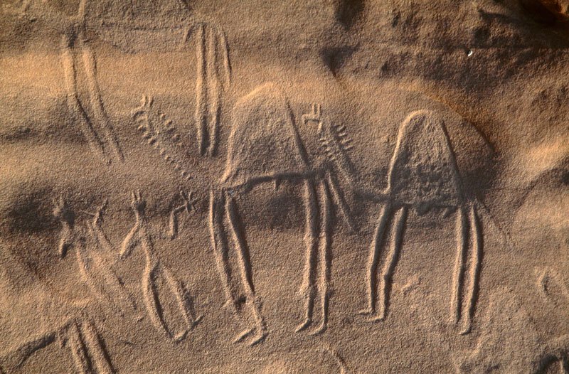 Karkul Tahl, Sudan. Incised engravings of camels led by people with animals’ heads or masks. Image ID: sudkta0020074