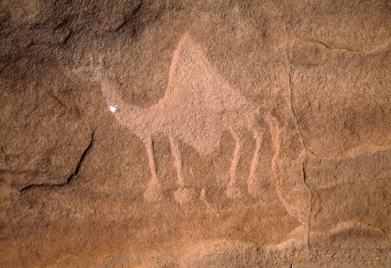 Karkul Tahl, Sudan. Schematic block-pecked engraving of camel with huge hooves and elongated tail facing left. Image ID: sudkta0020075