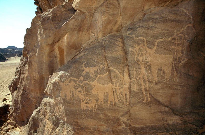 Karkul Tahl, Sudan. On exposed granite cliff, block-pecked engravings of cattle with long twisted horns, dogs and men holding various objects. Image ID: sudkta0030006