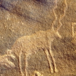 Karkul Tahl, Sudan. Kudu antelope facing right. Image ID: sudkta0030014