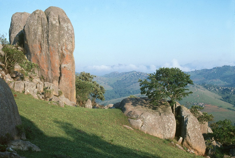 Swaziland context