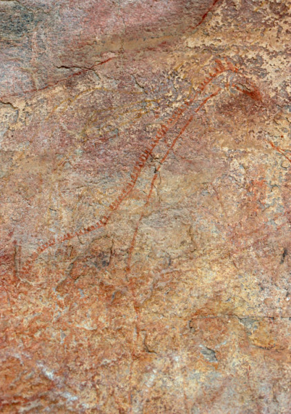 Kondoa, Tanzania, TANKON0020013