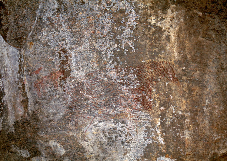 Kondoa, Tanzania, TANKON0020018