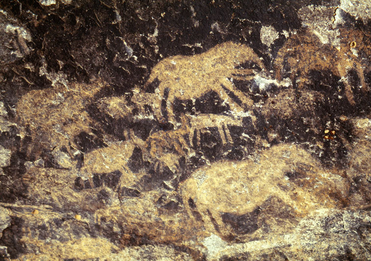 Kondoa, Tanzania, TANKON0080008