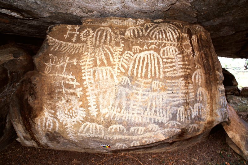 Granite boulder supporting large flat boulder to form shelter. Supporting boulder decorated with numerous white geometric designs including two vertical lines with numerous ‘legs’ and ‘head’, horizontal lines with numerous ‘legs’. Inverted half ovals with internal dependant lines, etc. Scale bar. Image ID: tankon0020039