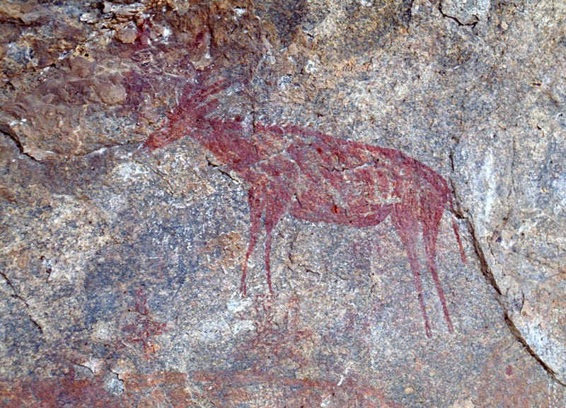 Red antelope. Image ID: tankon0030003