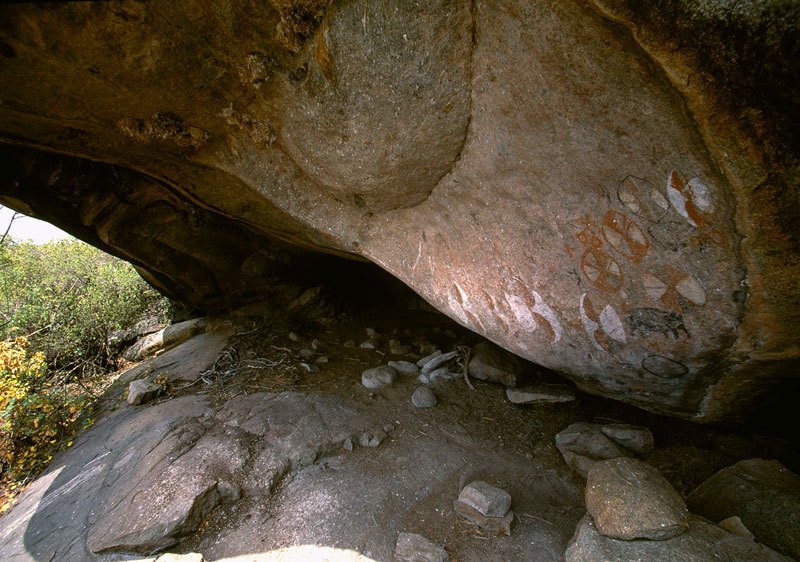 Meat-feasting shelter reportedly last used in 1920s. Bichrome shields painted on shelter wall represent a feast and a cow slaughtered. Black elephant facing right. Image ID: tanser0020001