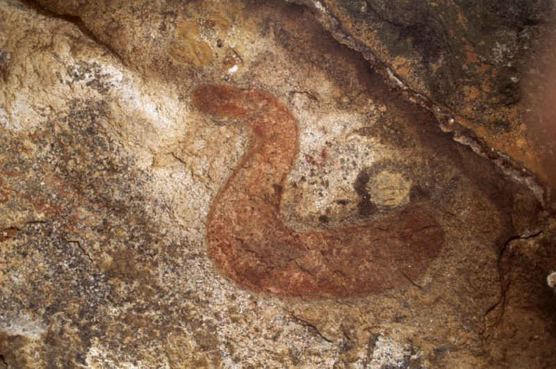 Detailed polychrome painting of fish. Body is outlined in red and infilled with paler colours. Hairs along body. Mashonaland, Zimbabwe. Image ID: zimmsl0030005