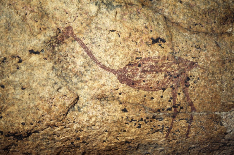 Maroon ostrich painting in Mashonaland, Zimbabwe. Body and legs infilled with maroon pigment. Image ID: zimmsl0050011