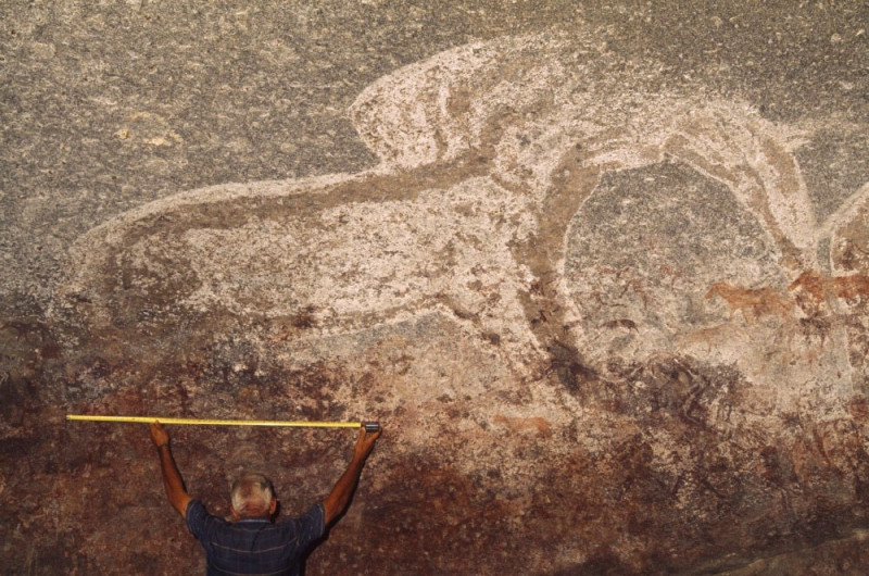 Large white elephant on a shelter wall. Mashonaland, Zimbabwe. Image ID: zimmsl0240012