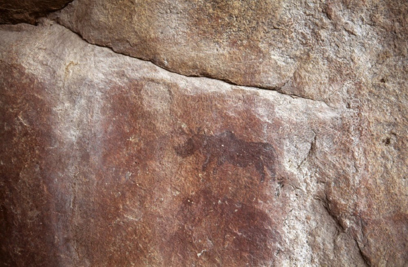 Rhino in a dark red pigment. Mashonaland, Zimbabwe. Image ID: zimmsl0240025