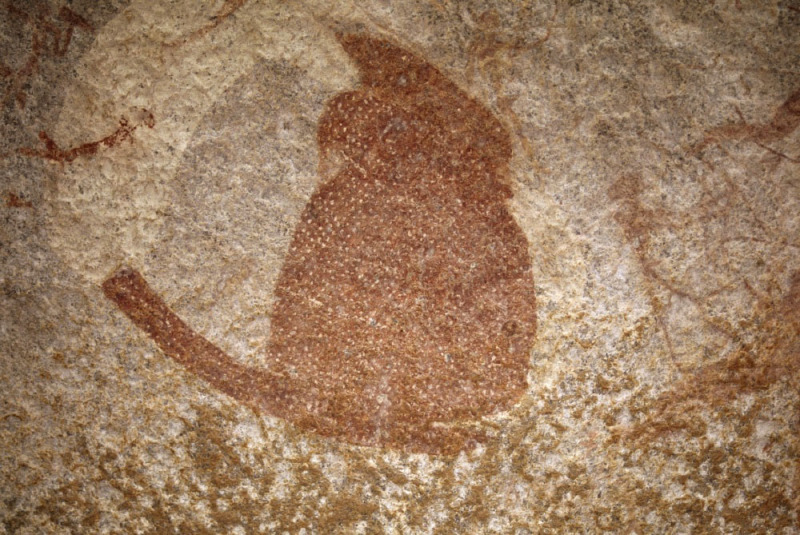 Rear view of an animal, possibly a feline. Notice the small specks. Mashonaland, Zimbabwe. Image ID: zimmsl0270032