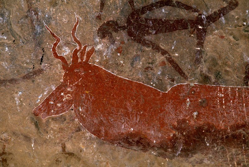 Mashonaland, Zimbabwe. Head and shoulder of red kudu outlined in white, and swimming’ figure. Image ID: zimmsl0230040